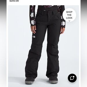 The north face Women’s freedom ins Pants